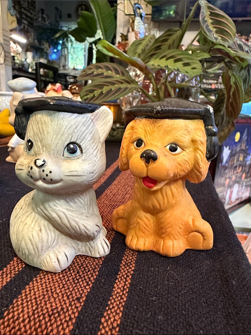 Vintage porcelain cat and dog graduation salt and pepper shakers.